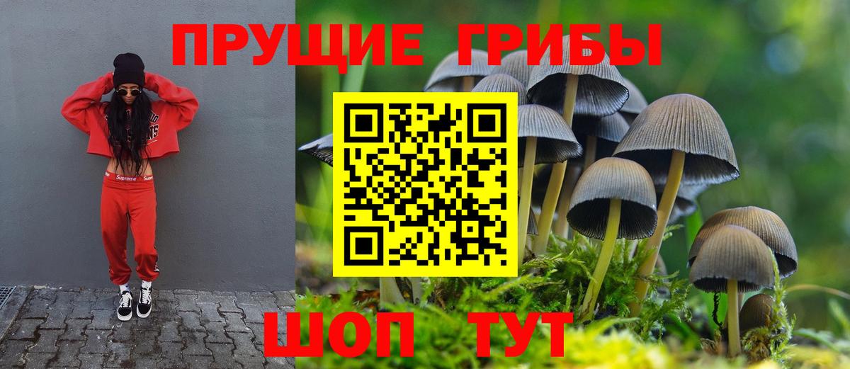 Галлюциногенные грибы ЛСД Шарыпово