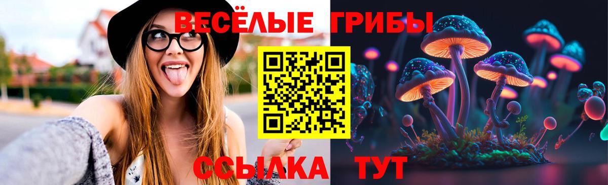 Псилоцибиновые грибы Magic Shrooms  Вход с VPN  Шарыпово 