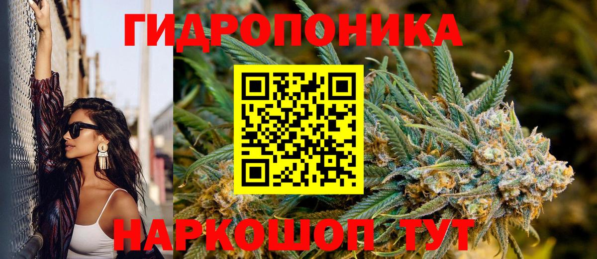Шарыпово  Каннабис план  Бошки марихуана White Widow  Вход с VPN 